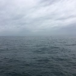 雨の中でショアジギング